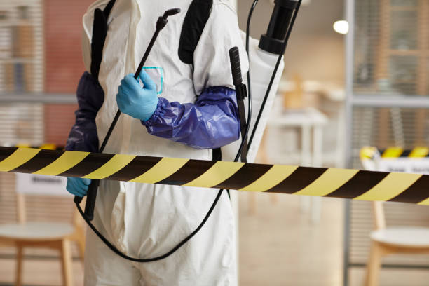 Professional Sewage Cleanup technician working in Idyllwild, CA